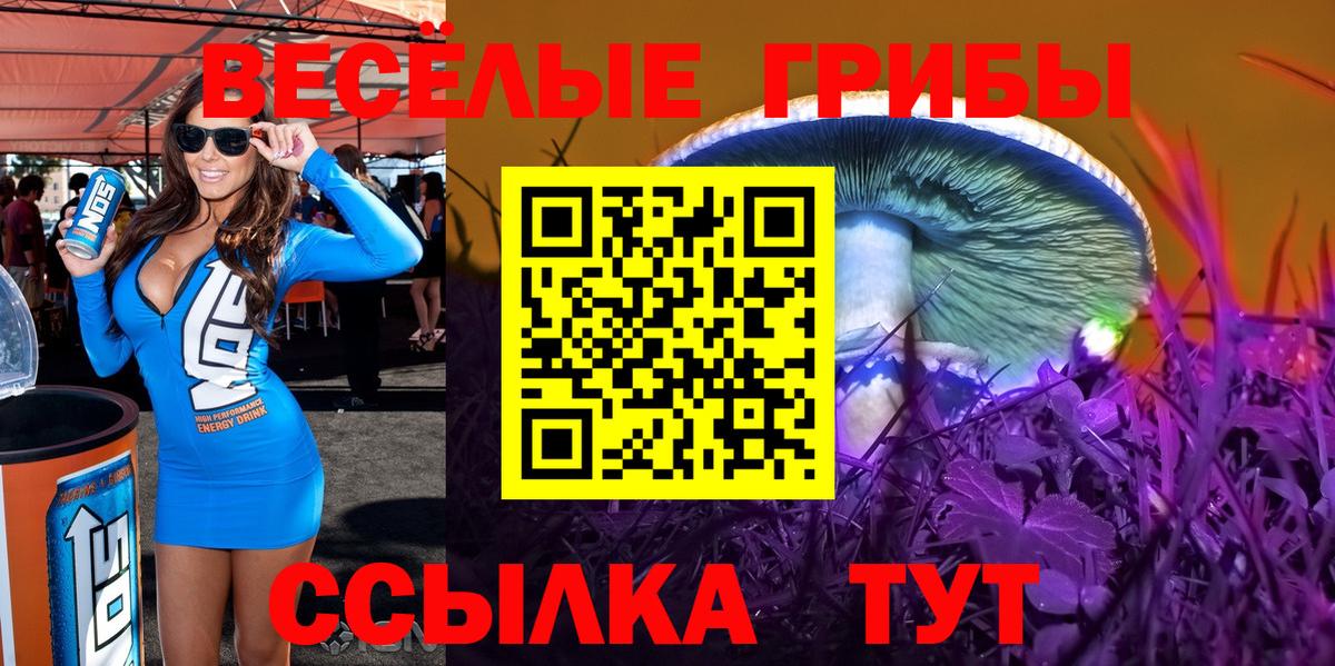 Галлюциногенные грибы Psilocybe  Галлюциногенные грибы прущие грибы  Отрадное  Вход с VPN 