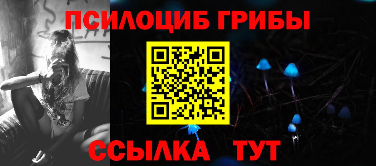 Псилоцибиновые грибы MAGIC MUSHROOMS Отрадное