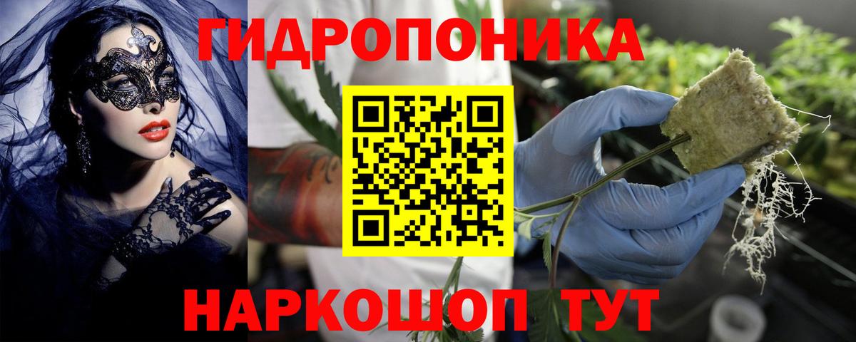 Бошки марихуана план  Канабис конопля  Конопля план  Отрадное  Вход с VPN 